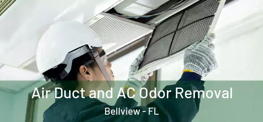 Air Duct and AC Odor Removal Bellview - FL