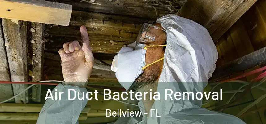 Air Duct Bacteria Removal Bellview - FL