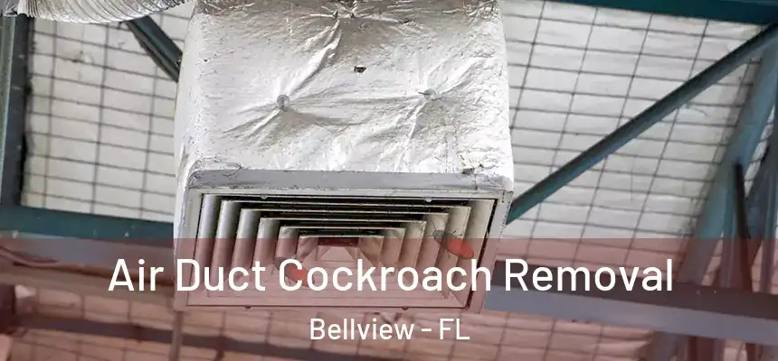 Air Duct Cockroach Removal Bellview - FL