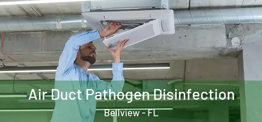 Air Duct Pathogen Disinfection Bellview - FL