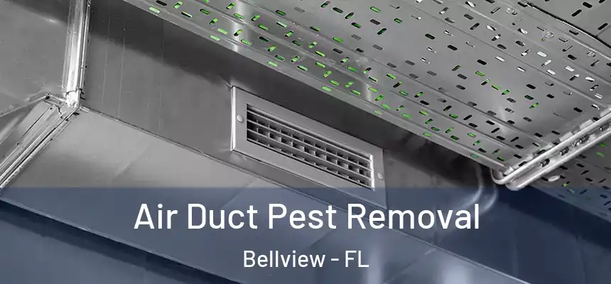Air Duct Pest Removal Bellview - FL