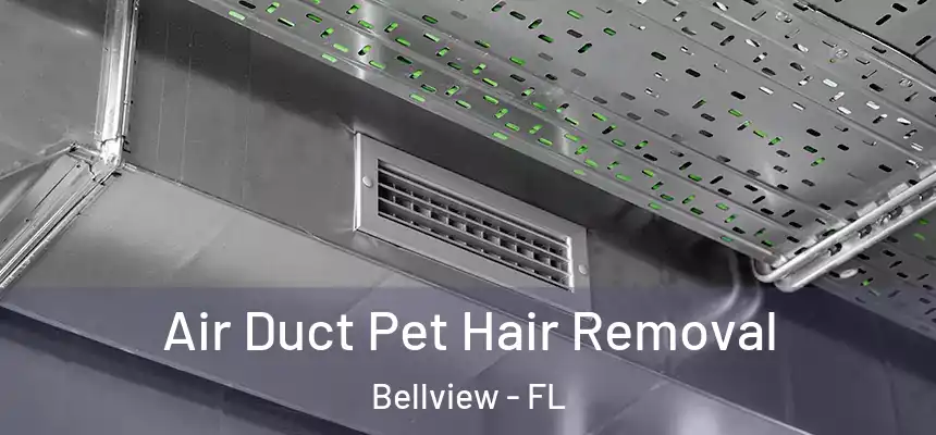 Air Duct Pet Hair Removal Bellview - FL