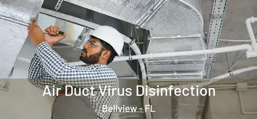 Air Duct Virus Disinfection Bellview - FL