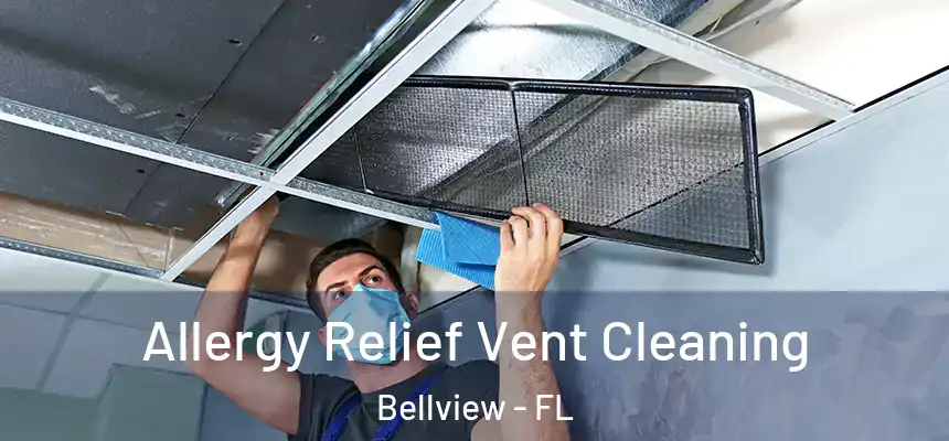 Allergy Relief Vent Cleaning Bellview - FL
