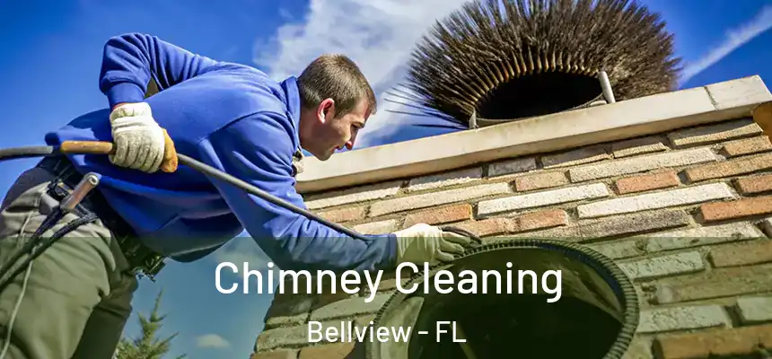 Chimney Cleaning Bellview - FL