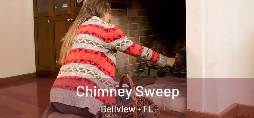 Chimney Sweep Bellview - FL