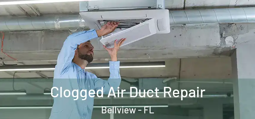 Clogged Air Duct Repair Bellview - FL