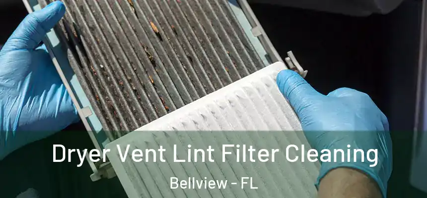 Dryer Vent Lint Filter Cleaning Bellview - FL