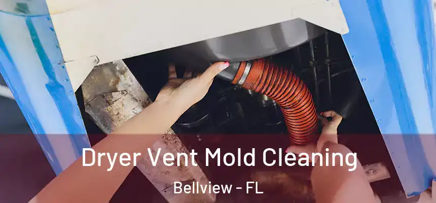Dryer Vent Mold Cleaning Bellview - FL