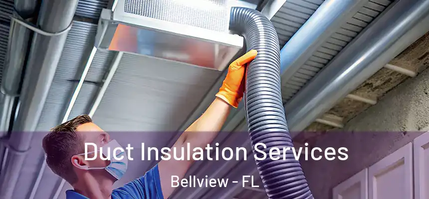 Duct Insulation Services Bellview - FL