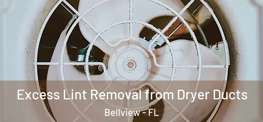 Excess Lint Removal from Dryer Ducts Bellview - FL
