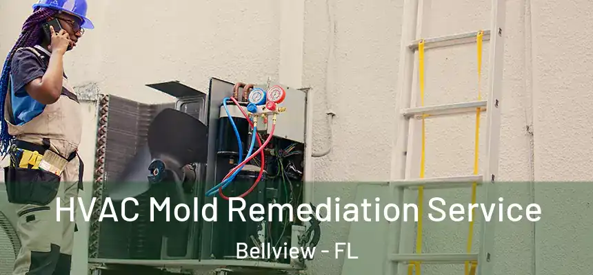 HVAC Mold Remediation Service Bellview - FL