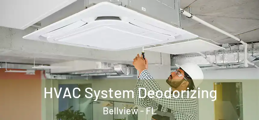 HVAC System Deodorizing Bellview - FL