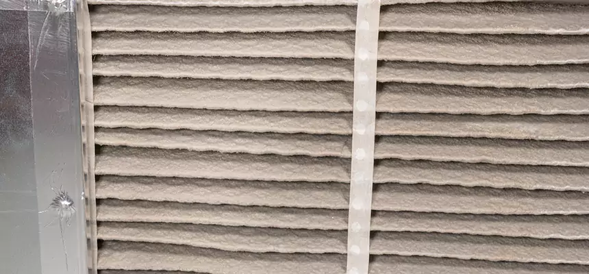 Mobile Car AC Filter Replacement in Bellview