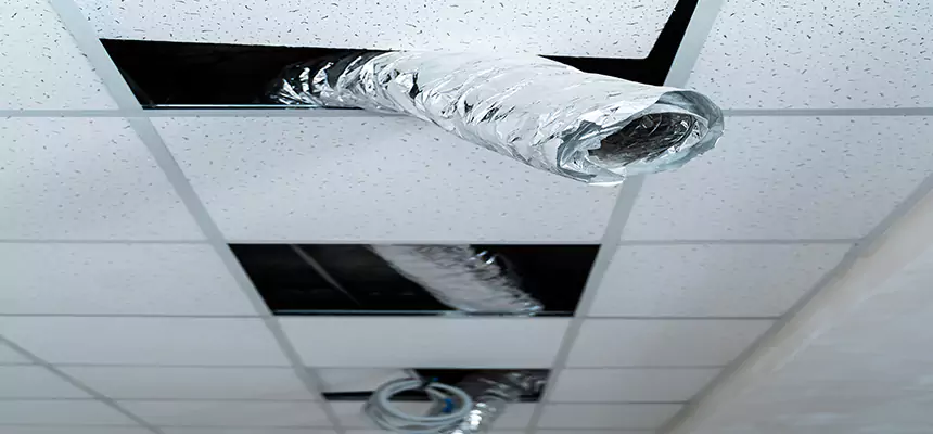 Affordable HVAC Sanitizing After Pest Removal in Bellview