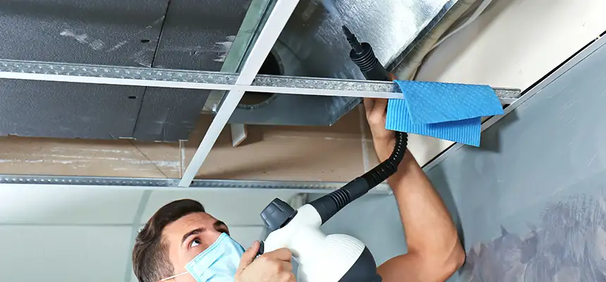 Our Air Duct Rodent Removal Services in Bellview, FL