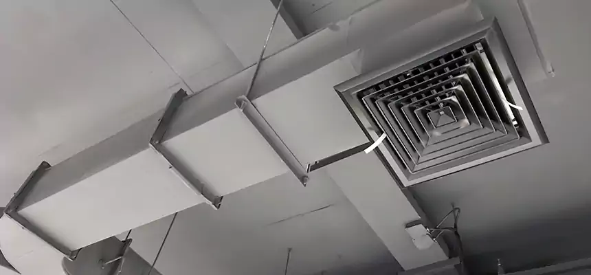 Restorative Allergy Relief Vent Cleaning – Coil, Blower & Housing Detail in Bellview