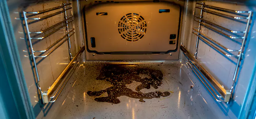 Our Dryer Vent Mold Cleaning Services in Bellview, FL