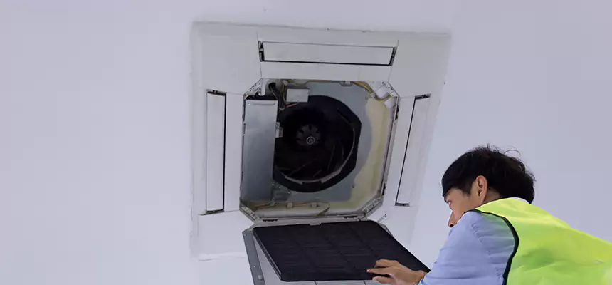 Our Dryer Vent Sanitization Service Services in Bellview, FL