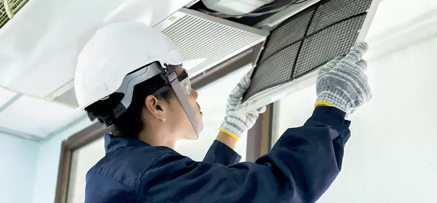 Our Mold & Mildew Removal from Air Ducts Services in Bellview, FL