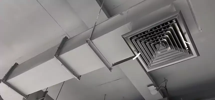 Our Pest Removal From Ducts Services in Bellview, FL