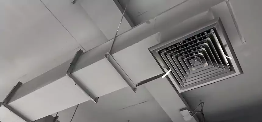 Our Rodent Droppings In Vents Services in Bellview, FL