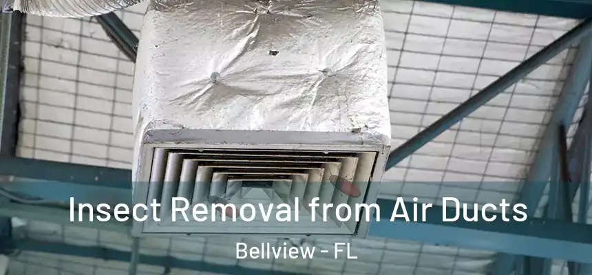 Insect Removal from Air Ducts Bellview - FL