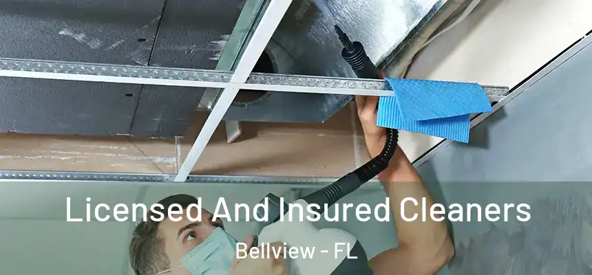 Licensed And Insured Cleaners Bellview - FL