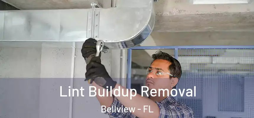 Lint Buildup Removal Bellview - FL