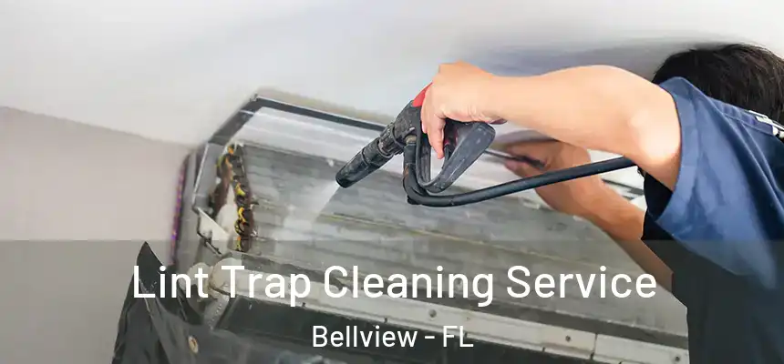 Lint Trap Cleaning Service Bellview - FL