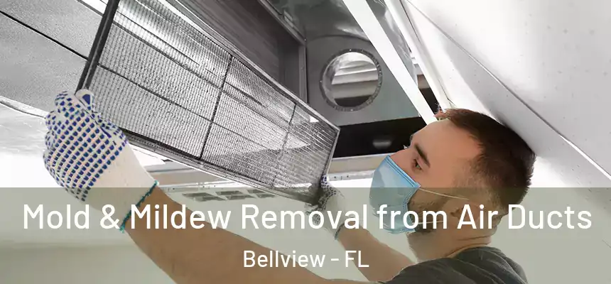 Mold & Mildew Removal from Air Ducts Bellview - FL