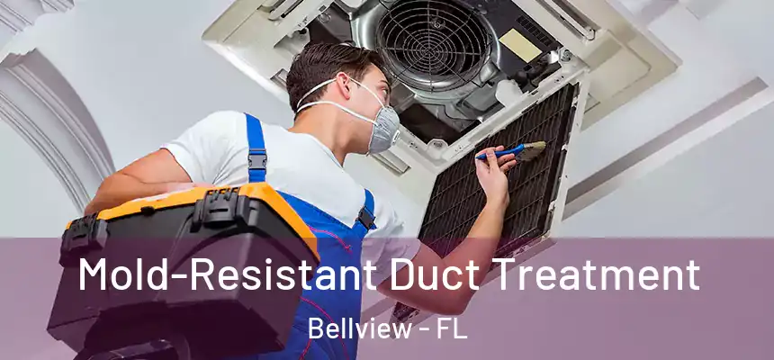 Mold-Resistant Duct Treatment Bellview - FL