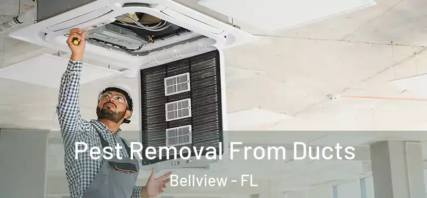 Pest Removal From Ducts Bellview - FL