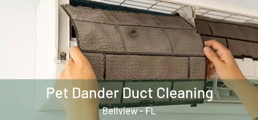 Pet Dander Duct Cleaning Bellview - FL