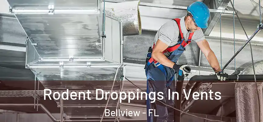 Rodent Droppings In Vents Bellview - FL