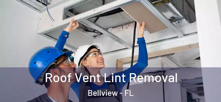 Roof Vent Lint Removal Bellview - FL
