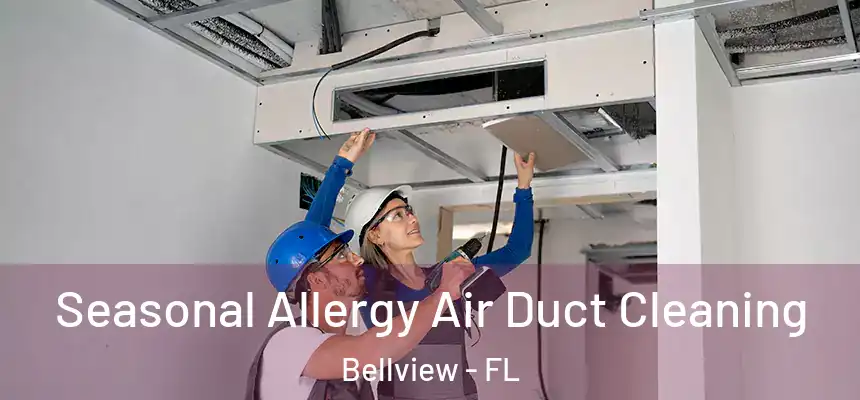 Seasonal Allergy Air Duct Cleaning Bellview - FL