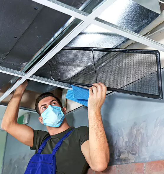About Air Duct Bacteria Removal in Bellview