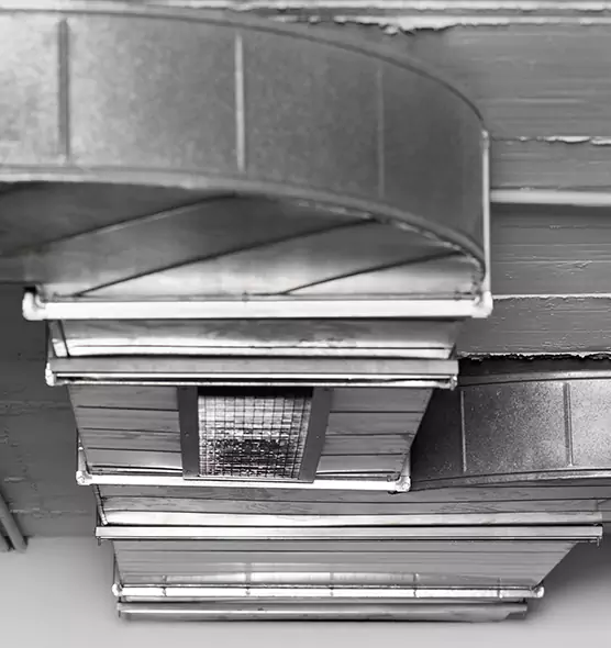 Professional Air Duct Pest Removal in Bellview, FL