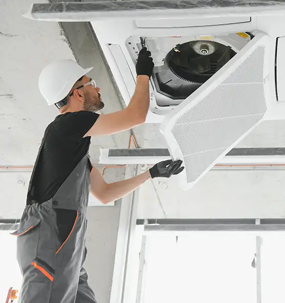 About Air Duct Rodent Removal in Bellview, FL
