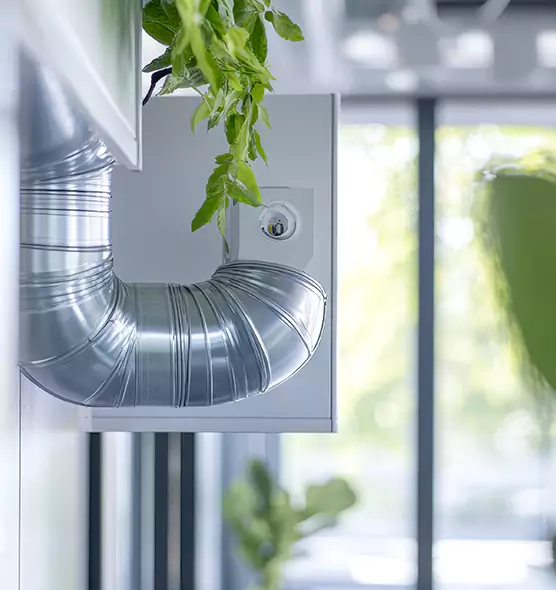 Professional Eco-Friendly Duct Cleaning Services in Bellview, FL