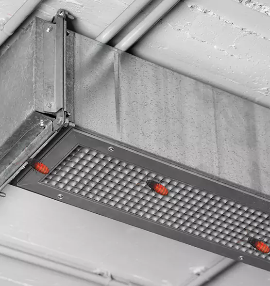 Affordable Insect Removal from Air Ducts in Bellview, FL