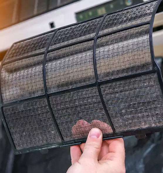 About Pet Dander Duct Cleaning in Bellview, FL